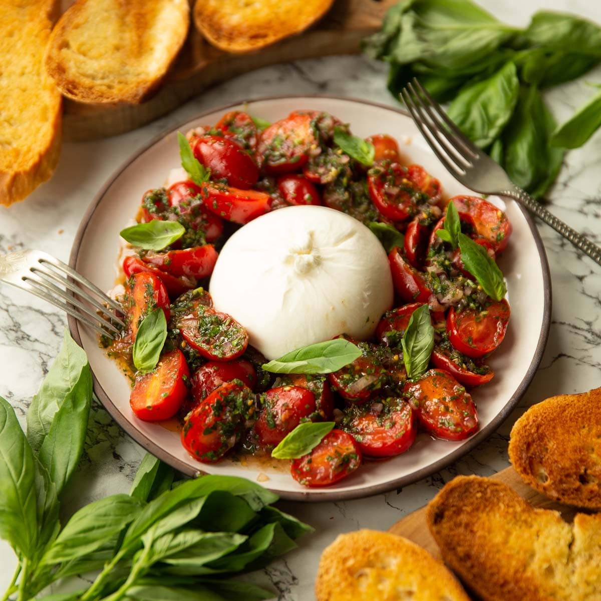 Tomato Burrata Salad With Marinated Tomatoes and Crisp Garlic Toast